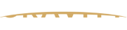 Gravity Team Logo